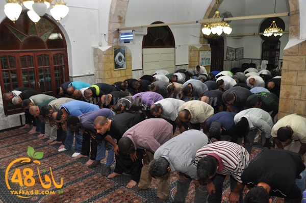 7san bek jsh (7).JPG